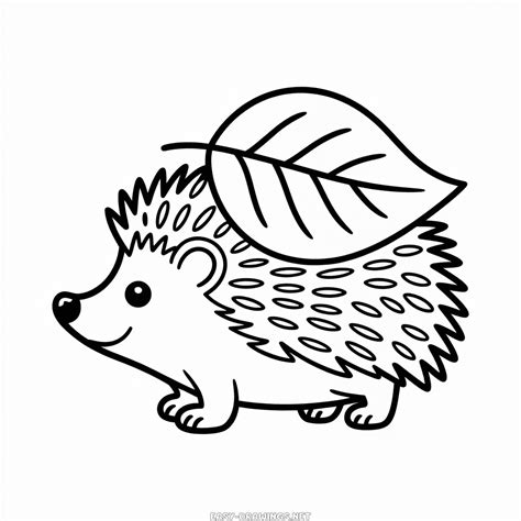 Fall Animal Easy Drawing | Easy Drawings