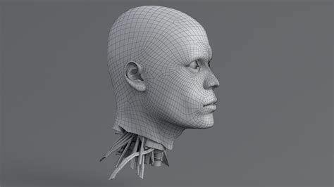 Head First Python Design Patterns に対する画像結果