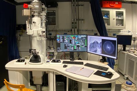 Image result for Electron Microscope Images