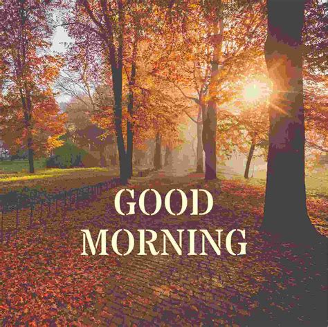 Morning Routine for Vacation 的图像结果