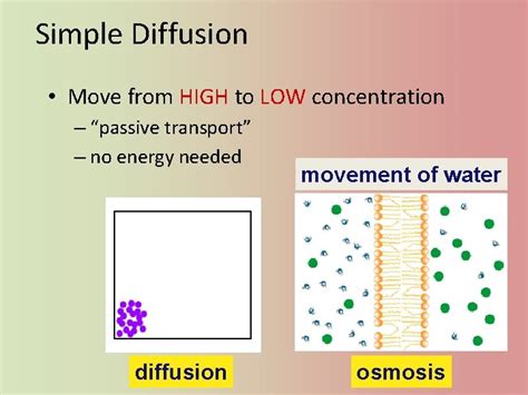 Diffusion 的图像结果