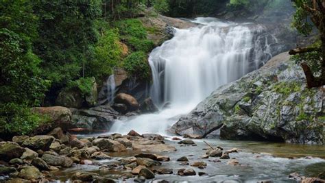 Most Beautiful Waterfalls In Munnar Idukki For A Summer Getaway 2024