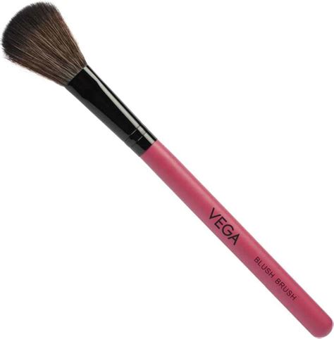 Blush Brushes That Is Perfect For Make Up
