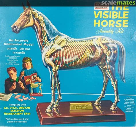 Visible Horse, Skilcraft 74628 (1996)
