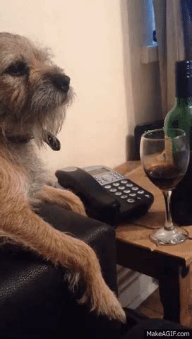 Expectations and realities of getting a dog | Femina.in