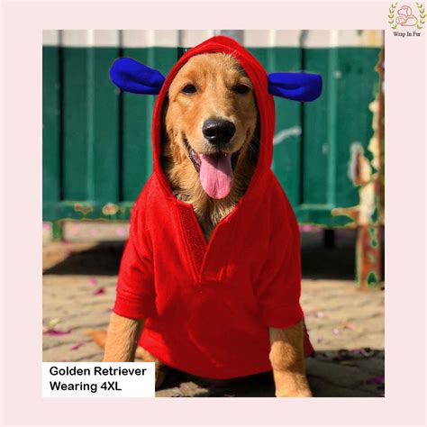 Red Bunny Ear Dog Hoodie – Warm & Adorable Wear – Wrapinfur