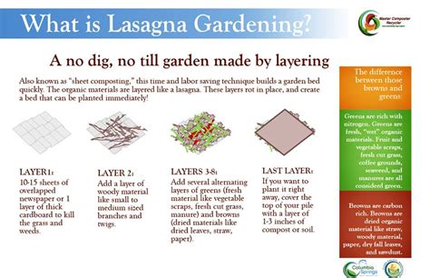 ?Lasagna Gardening? or ?No Dig? primer.   garden