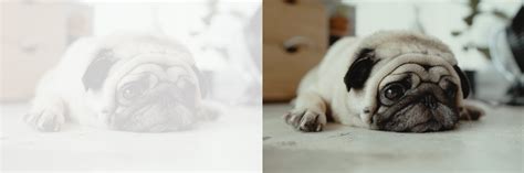 Image result for Tutorial HTML Font Transparency