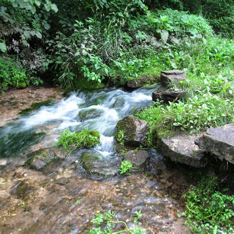 Backbone State Park - Delaware County Tourism