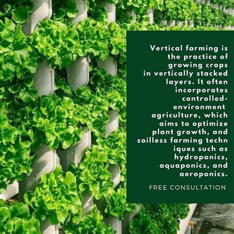 Vertical Farming Process 的图像结果