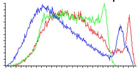 Image result for Histogramm Java Tutorial