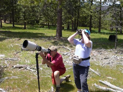 YEXPLORE YOSEMITE ADVENTURES - DAY TOURS (2026) All You Need to Know ...