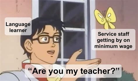 Local Development Meme 的图像结果