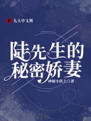 请推荐一本关于独宠旧爱陆少秘密恋人第二部的书。 - 起点中文网