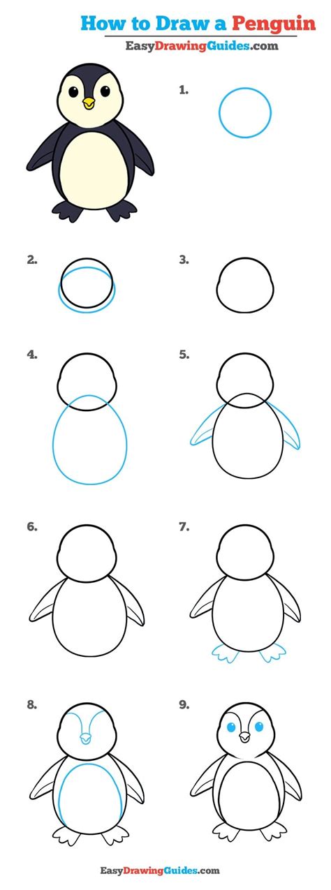 Image result for Step by Step Drawing Penguin