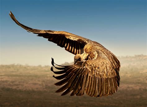 reFocus Awards | Login