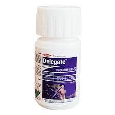 Delegate -20ml
