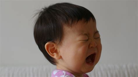 Trump Cry Baby Memes