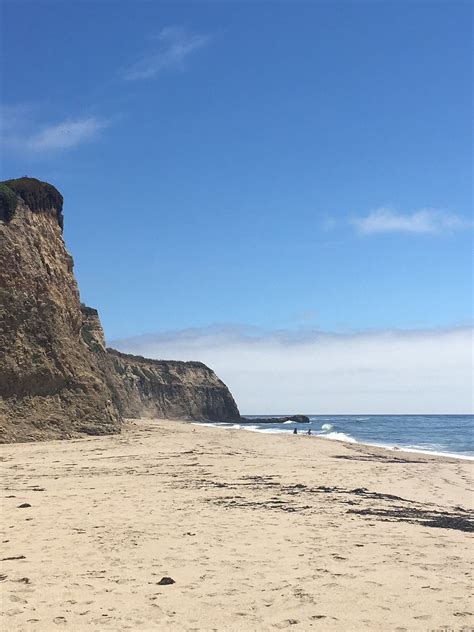 Scott Creek Beach (Davenport): All You Need to Know