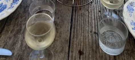 Unforgettable Tour of Cap-Ferret and Herbe Village with Oyster Tasting ...