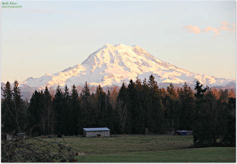 Elevation of st Ave E, Graham, WA, USA - MAPLOGS
