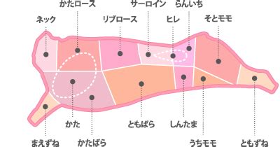 Image result for Spring Box File