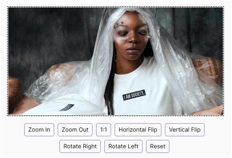 JavaScript Viewer 的图像结果
