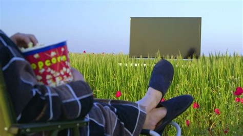 Wild Nature 的图像结果