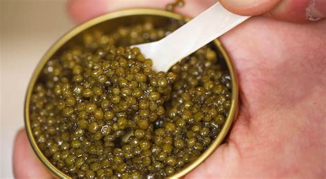 We tried $450 caviar to see if it's worth the money
