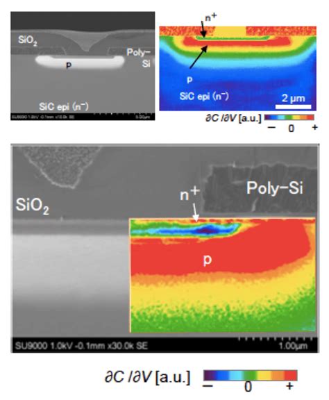 Representative SEM images of SD 1:5 combination formulation at the ...