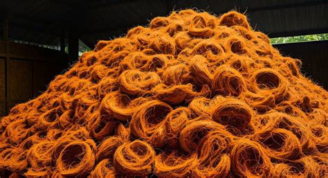 Eco-Friendly Coir Pith Composting