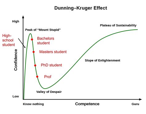 Dunning-Kruger curve for physicists : r/physicsmemes