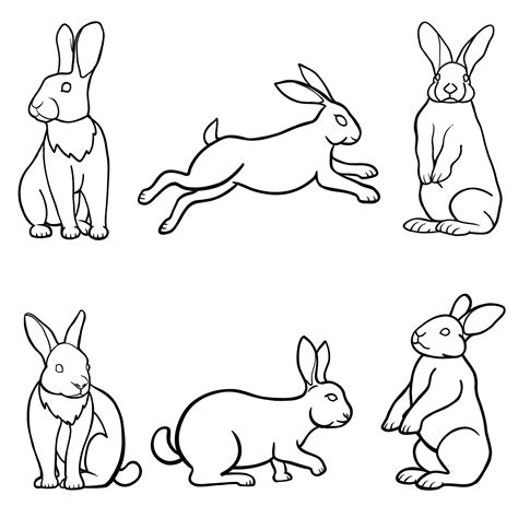 Premium Vector | Rabbit outline vector set, bunny collection in ...