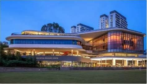 【新加坡留学】新加坡留学的热门专业都有哪些 | 狮城新闻 | 新加坡新闻