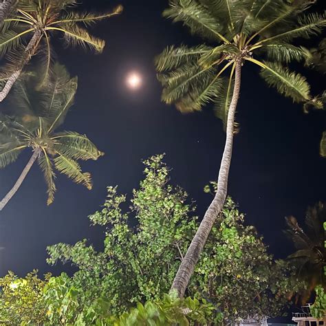 NOAH PRIVATE BEACH HOUSE (Himmafushi Island) - Hotel Reviews, Photos ...