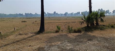 Mohaae Palm City - Residential Land/Plots in Rajgir Nalanda Bihar