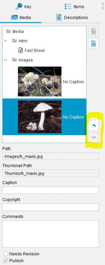 Image result for Lucid Press Tutorial
