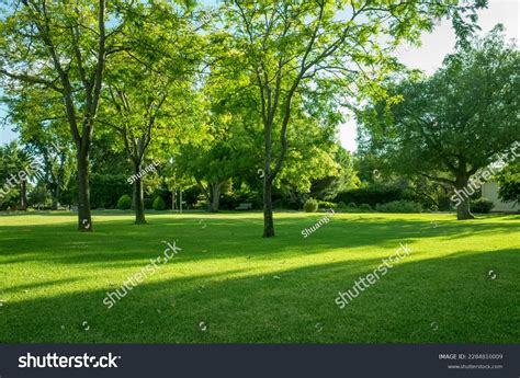 Background Texture Fresh Green Lawn Local Stock Photo 2284810009 ...