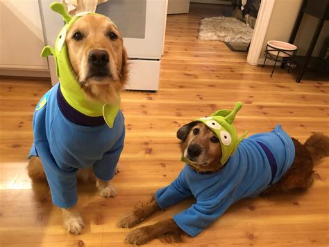 Image result for Alien Dog Costume