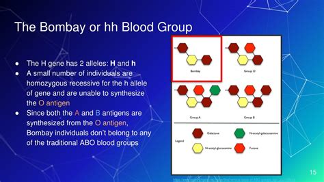 PPT - Molecular Basis of ABO Blood Groups | PowerPoint Presentation ...