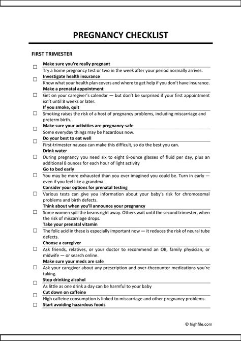 Pregnancy Checklist: A Month-By-Month Guide (Word | PDF | Docs)