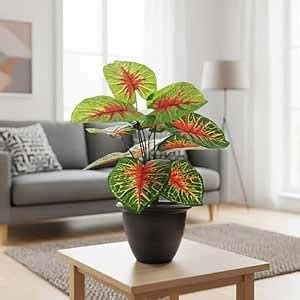 Buy Go Hooked Artificial Plants 12 Leaves with complimentary Nursery ...