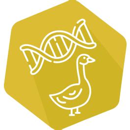 DNAnimal Ident Goose IPC