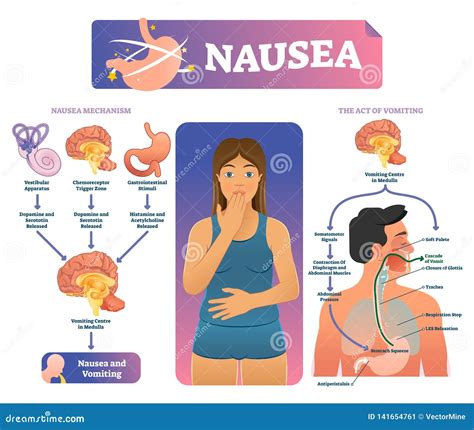 Symptoms Nausea Belching Vomiting at Robert Bence blog