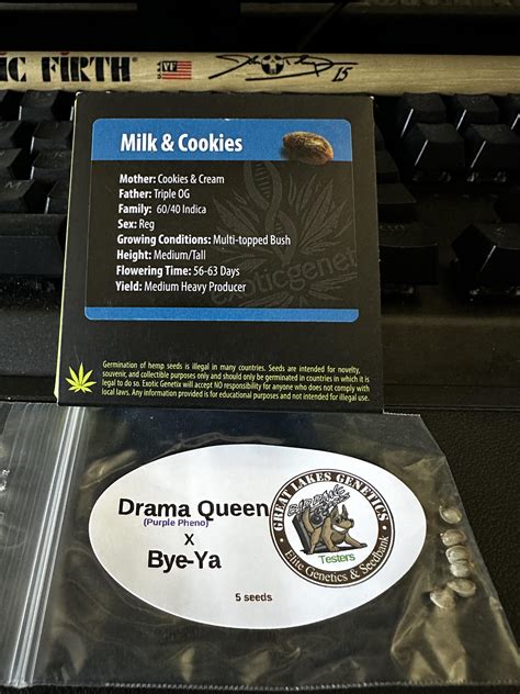 My extremely rare Milk & Cookies arrived today ! : r/exoticgenetix