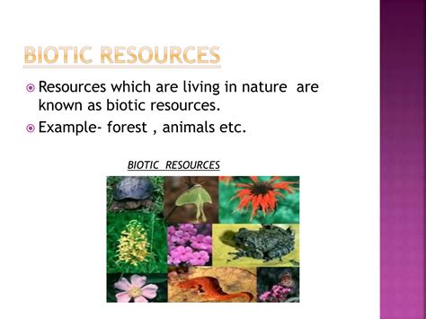 Conservation of land , water , biotic resources | PPTX