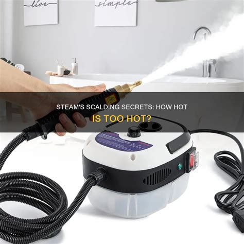 Steam's Scalding Secrets: How Hot Is Too Hot? | CyCookery