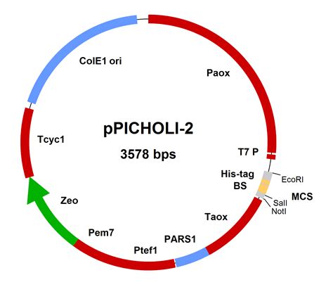 Image result for Shuttle Vector Applications