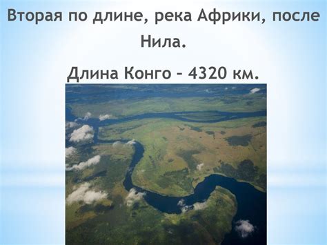 Река Конго - презентация онлайн