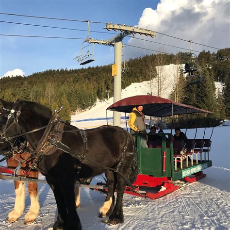 BLACKCOMB SLEIGHRIDES - All You Need to Know BEFORE You Go (with Photos ...